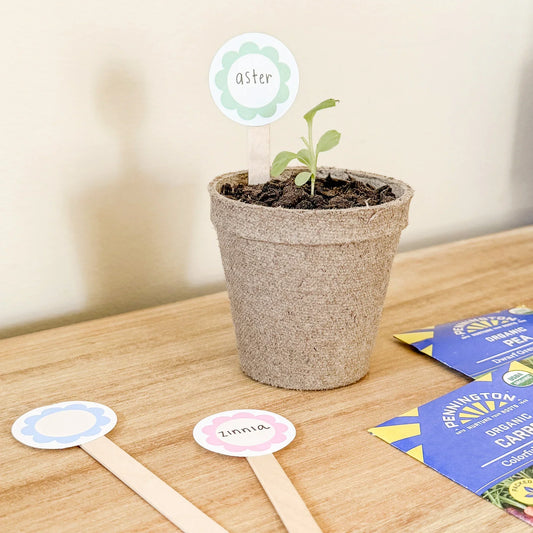 simple springtime magic: 5 easy ways to gather, celebrate + connect