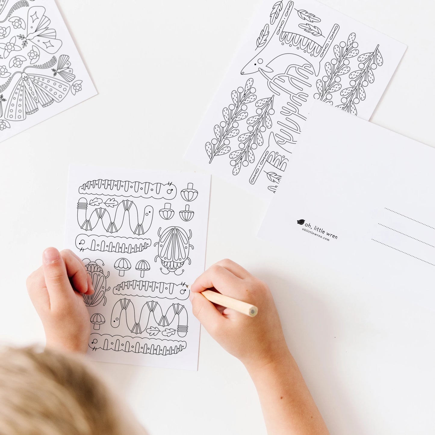 wonders + wilds coloring postcards set – 14 folk-style animals from parks, forests + gardens