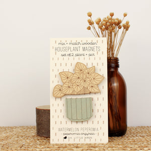 wooden plant and pot magnet pair. with watermelon peperomia plant and mint green pot.