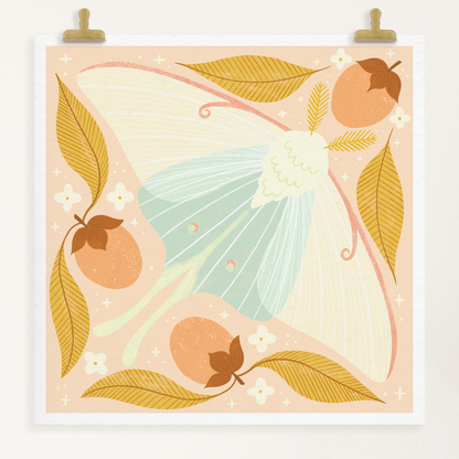 art print showing a luna moth in pale greens and pinks, surrounded by orange persimmons and mustard yellow leaves. shown displayed hanging from two gold clips.