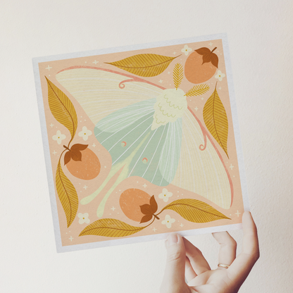 art print showing a luna moth in pale greens and pinks, surrounded by orange persimmons and mustard yellow leaves. shown being held in a hand.