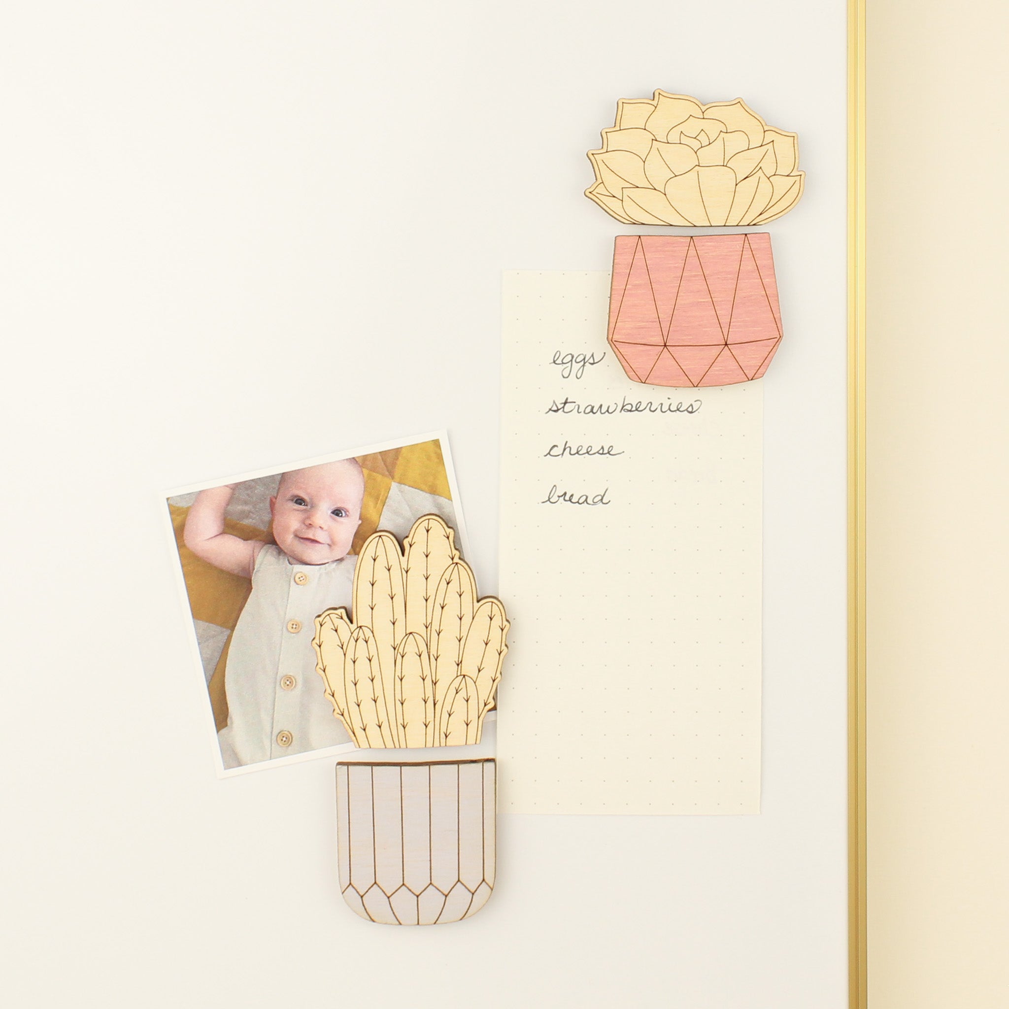 mix and match houseplants wooden pair of magnets, series 2 - cacti and succulents