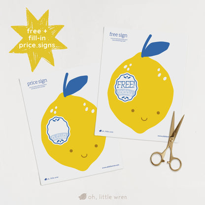 DIGITAL Lemonade Stand Pretend Play Printable Companion