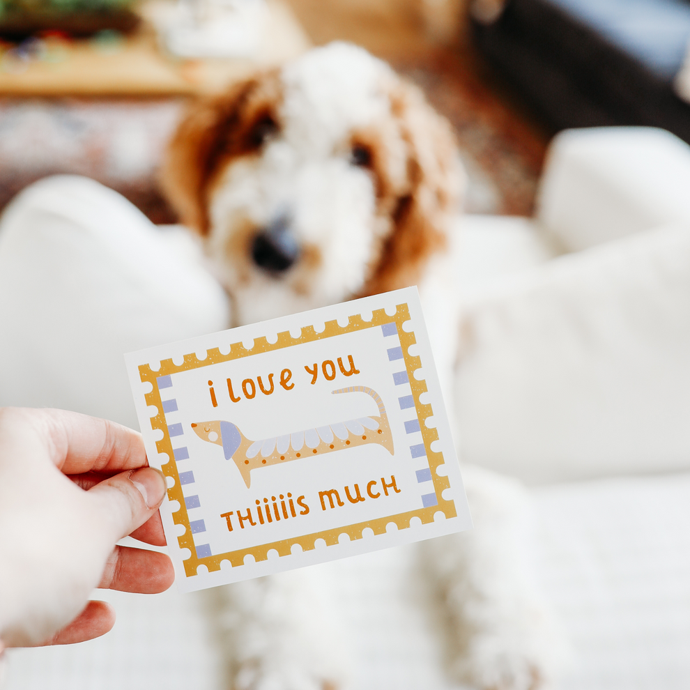 punny valentine + lunchbox note cards – pack of 20 funny animal pun ca ...