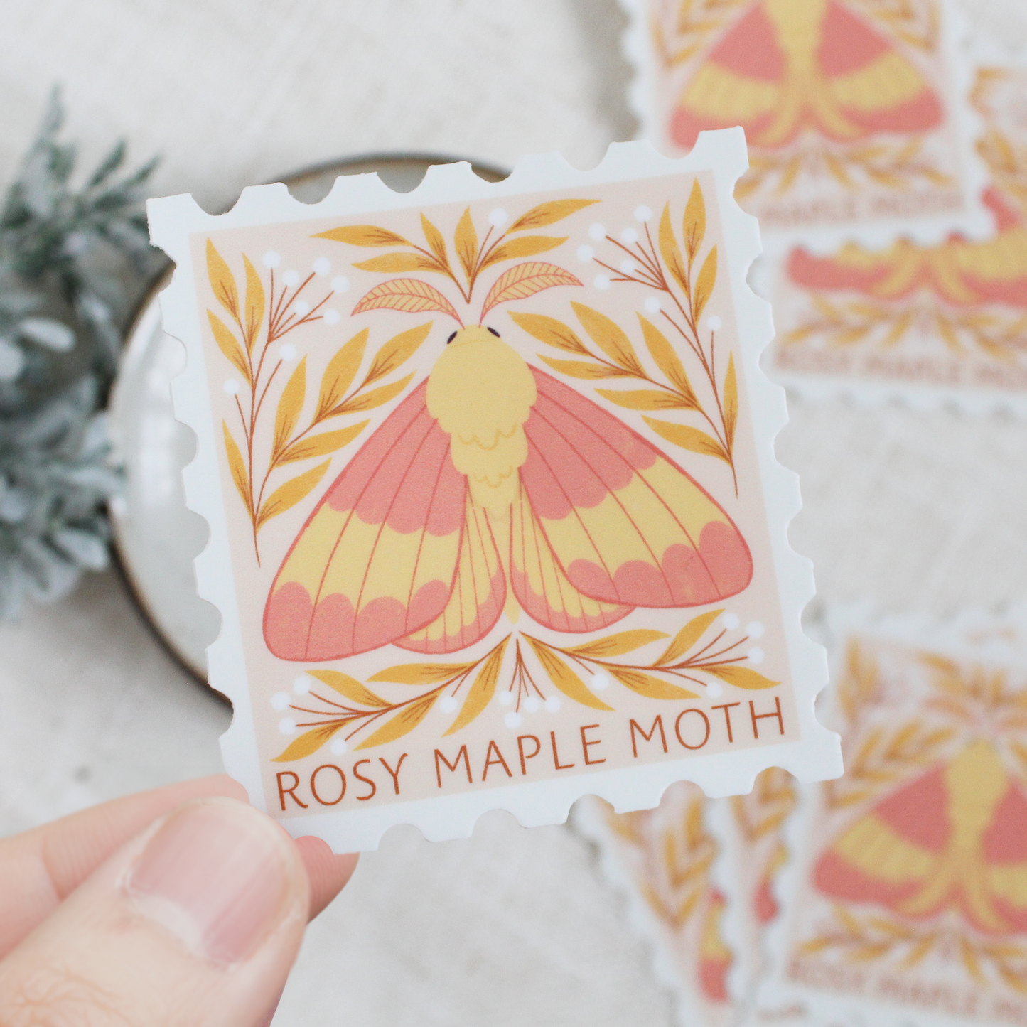 Rosy maple moth, stamp shaped vinyl sticker