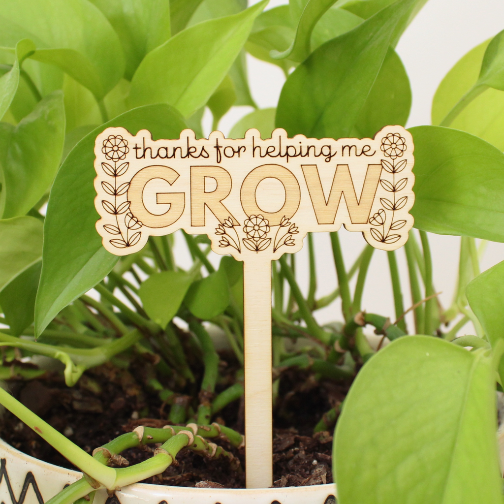 wooden plant stake, thanks for helping me grow