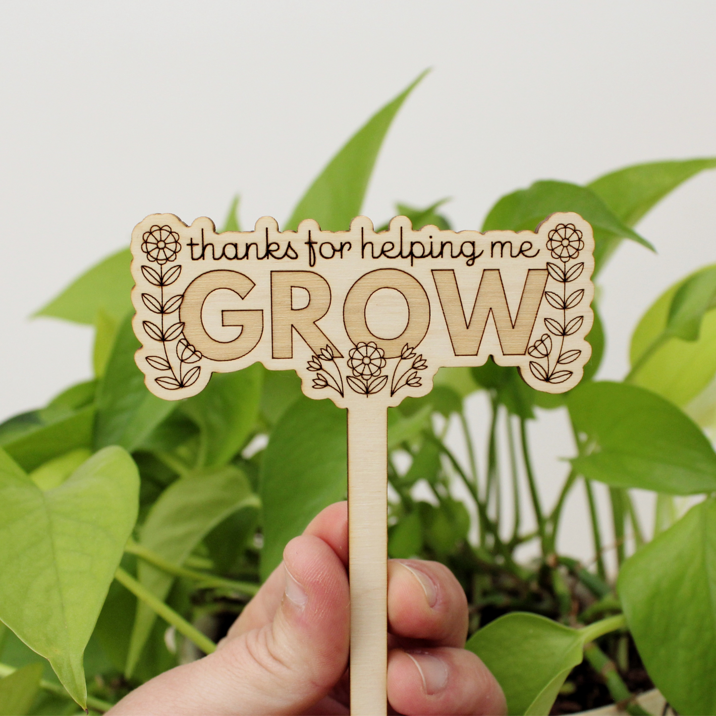 wooden plant stake, thanks for helping me grow