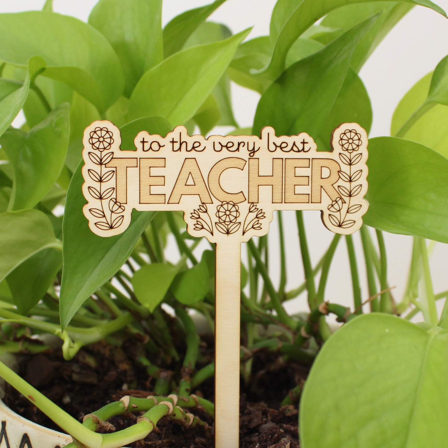 wooden plant stake, to the very best teacher