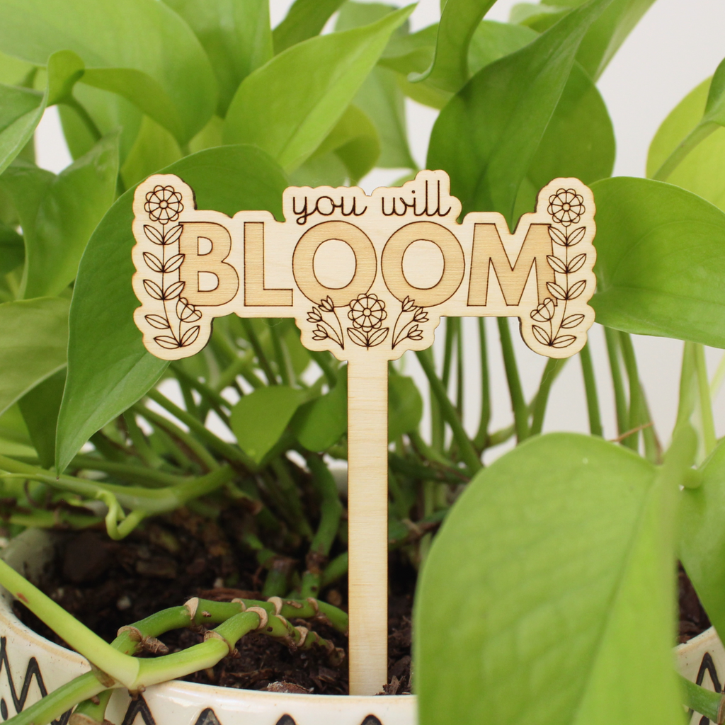 wooden plant stake, you will bloom