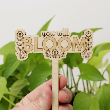 wooden plant stake, you will bloom
