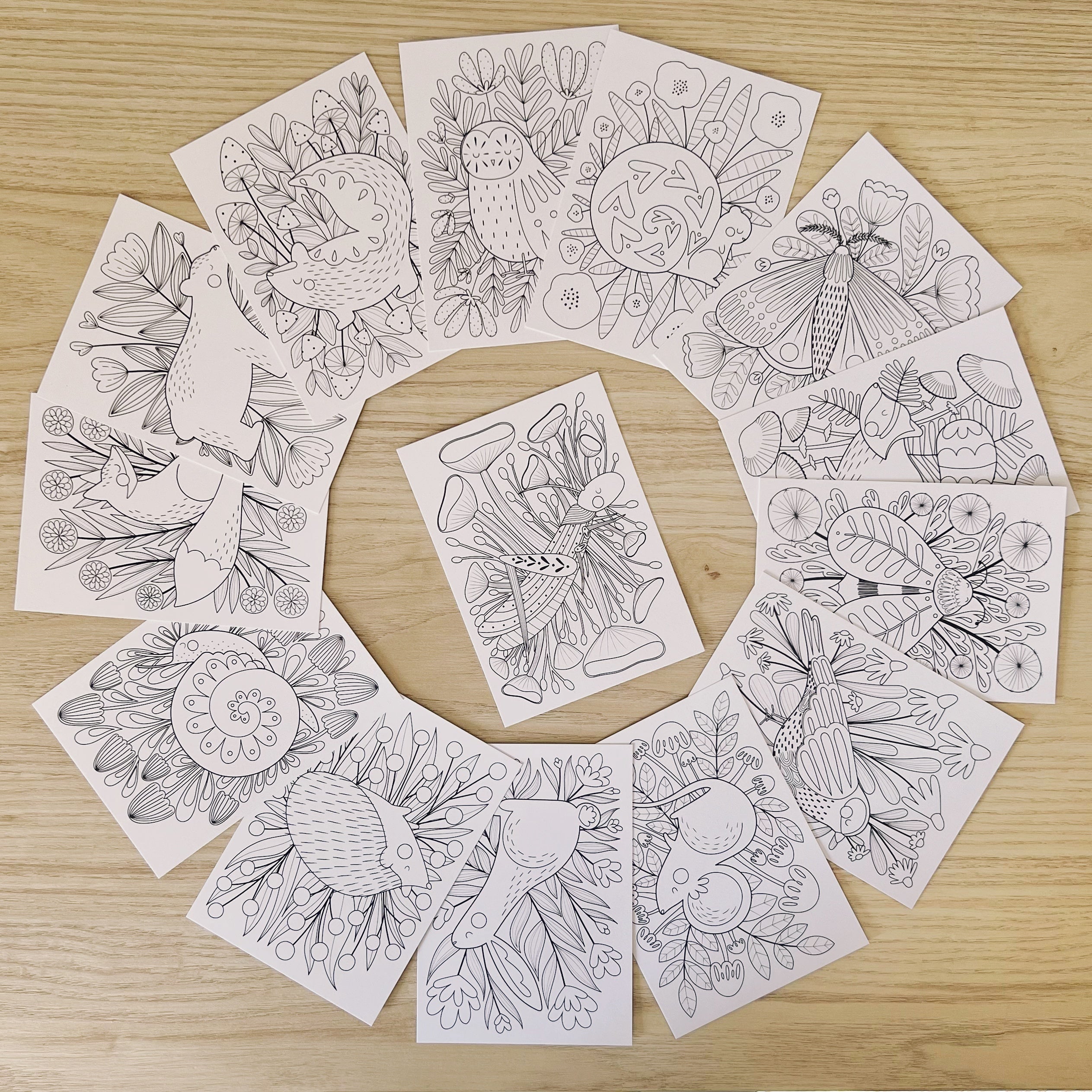 set of 14 woodland animal coloring postcards