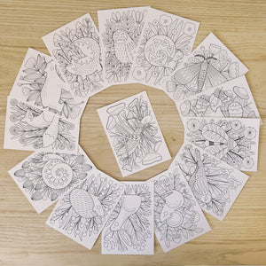 set of 14 woodland animal coloring postcards