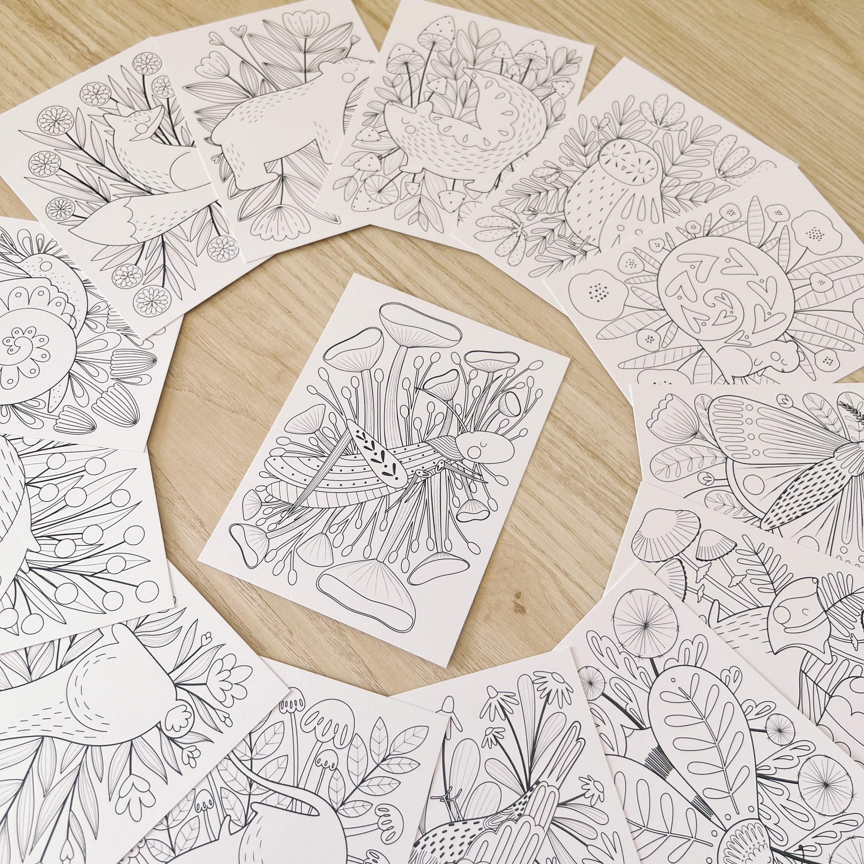 set of 14 woodland animal coloring postcards