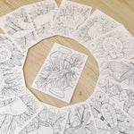 load image into gallery viewer, set of 14 woodland animal coloring postcards
