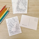 load image into gallery viewer, set of 14 woodland animal coloring postcards
